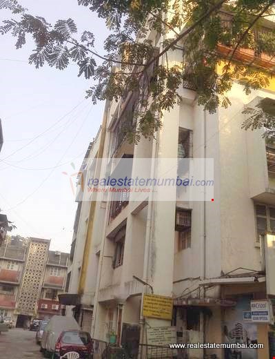 1 BHK Fully Furnished in Triveni B , Santacruz West